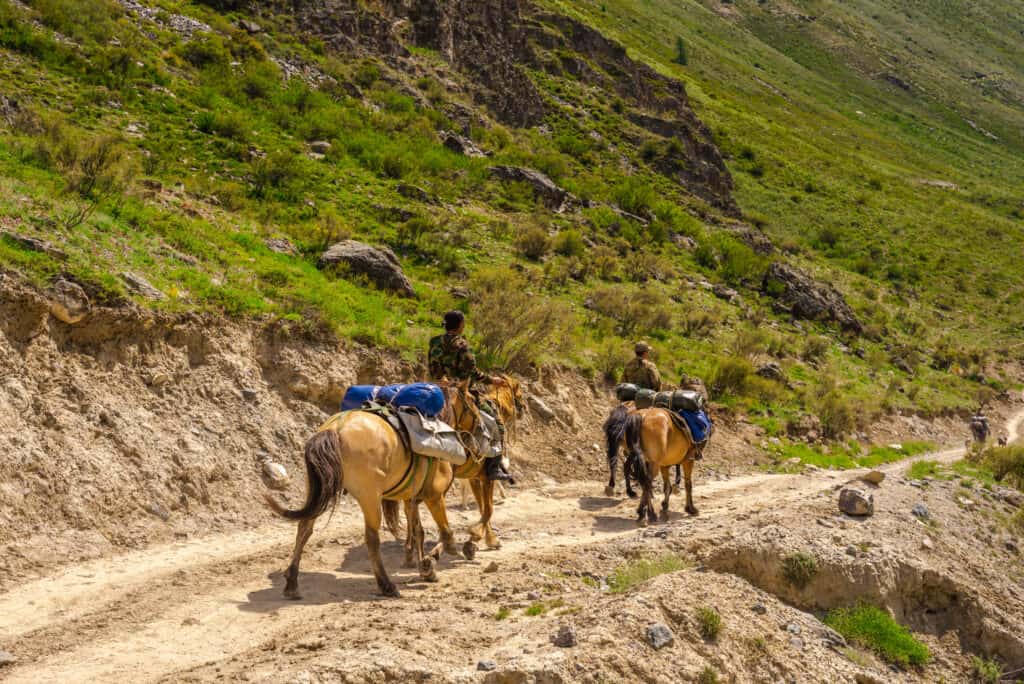 horse travel distance per day