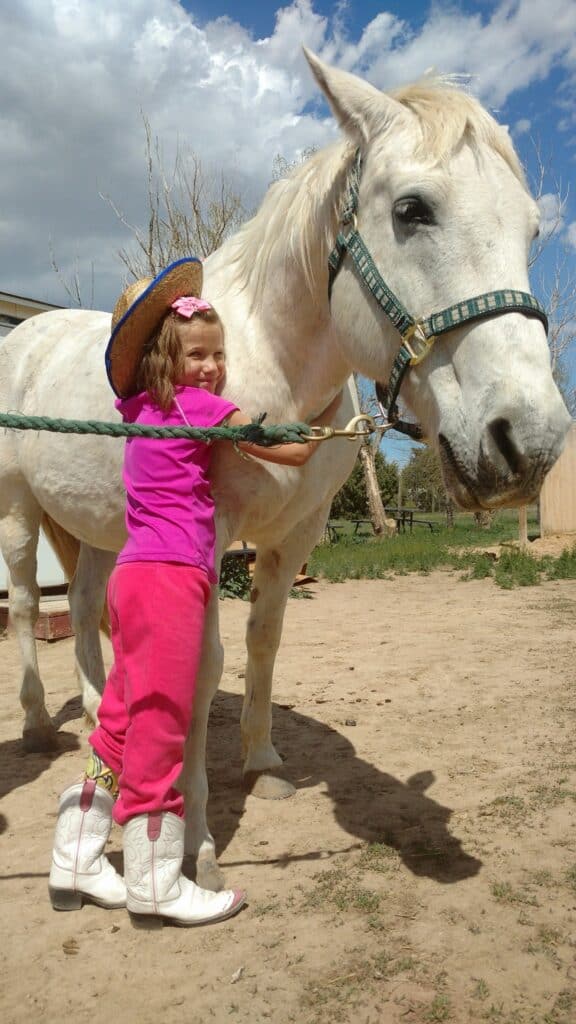 horses in our hands action fund