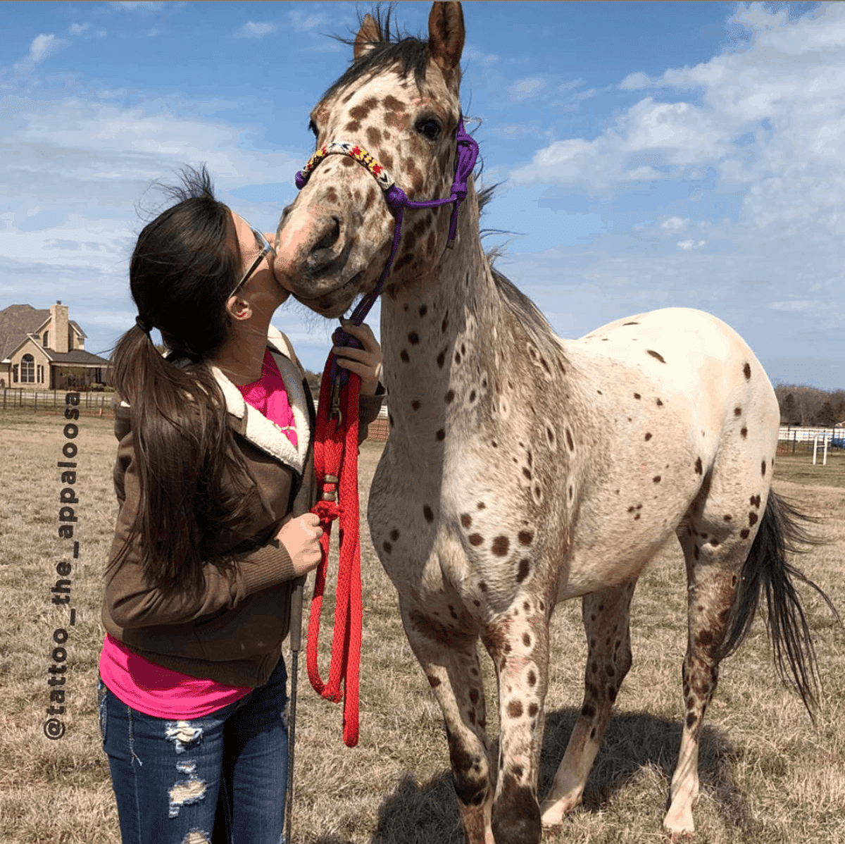 Tattoo the Appaloosa 