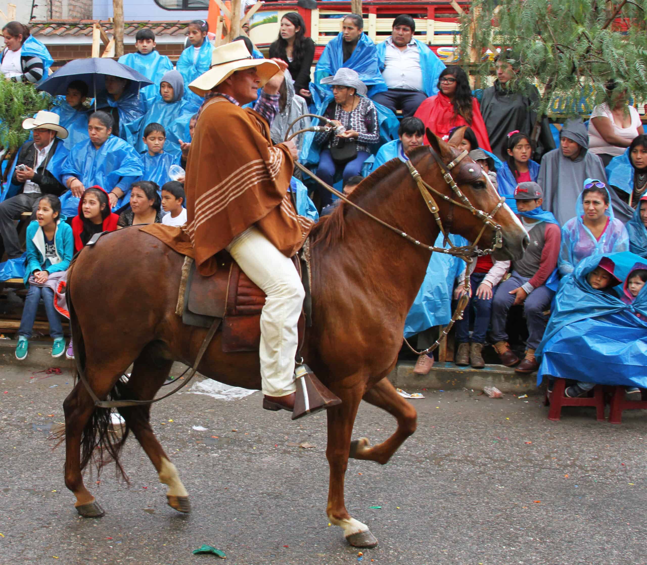 Paso Fino