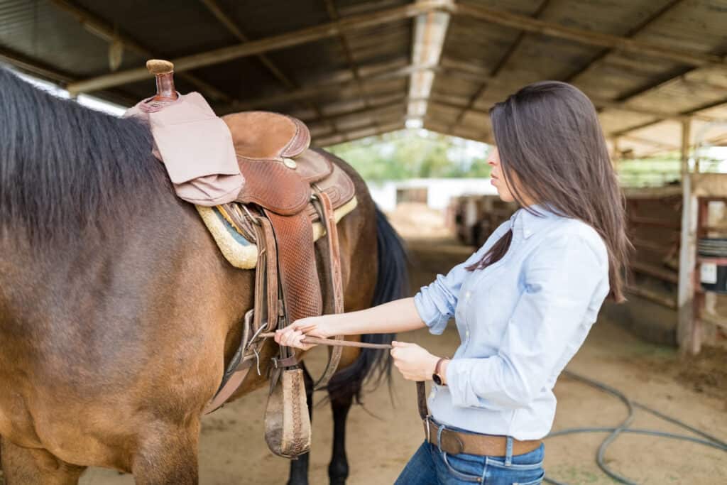 horse tack