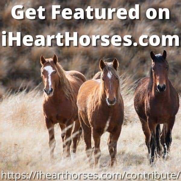 Get featured on iHeartHorses