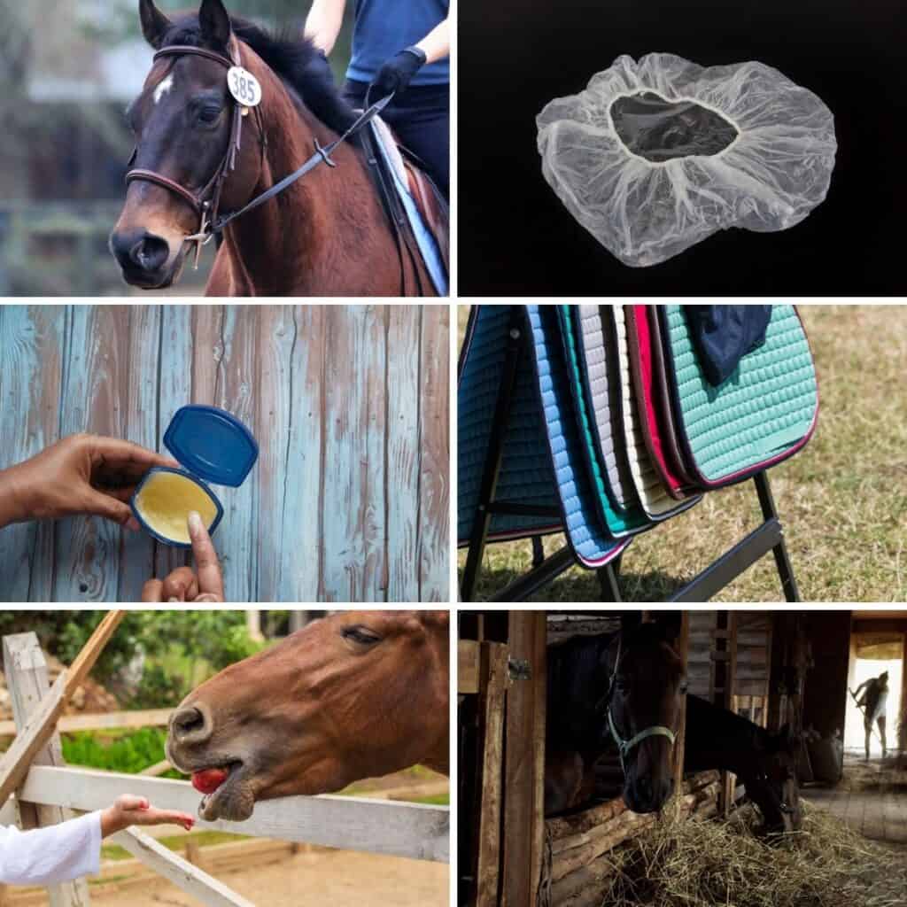 41 Genius Horse Care Hacks You've Never Thought Of