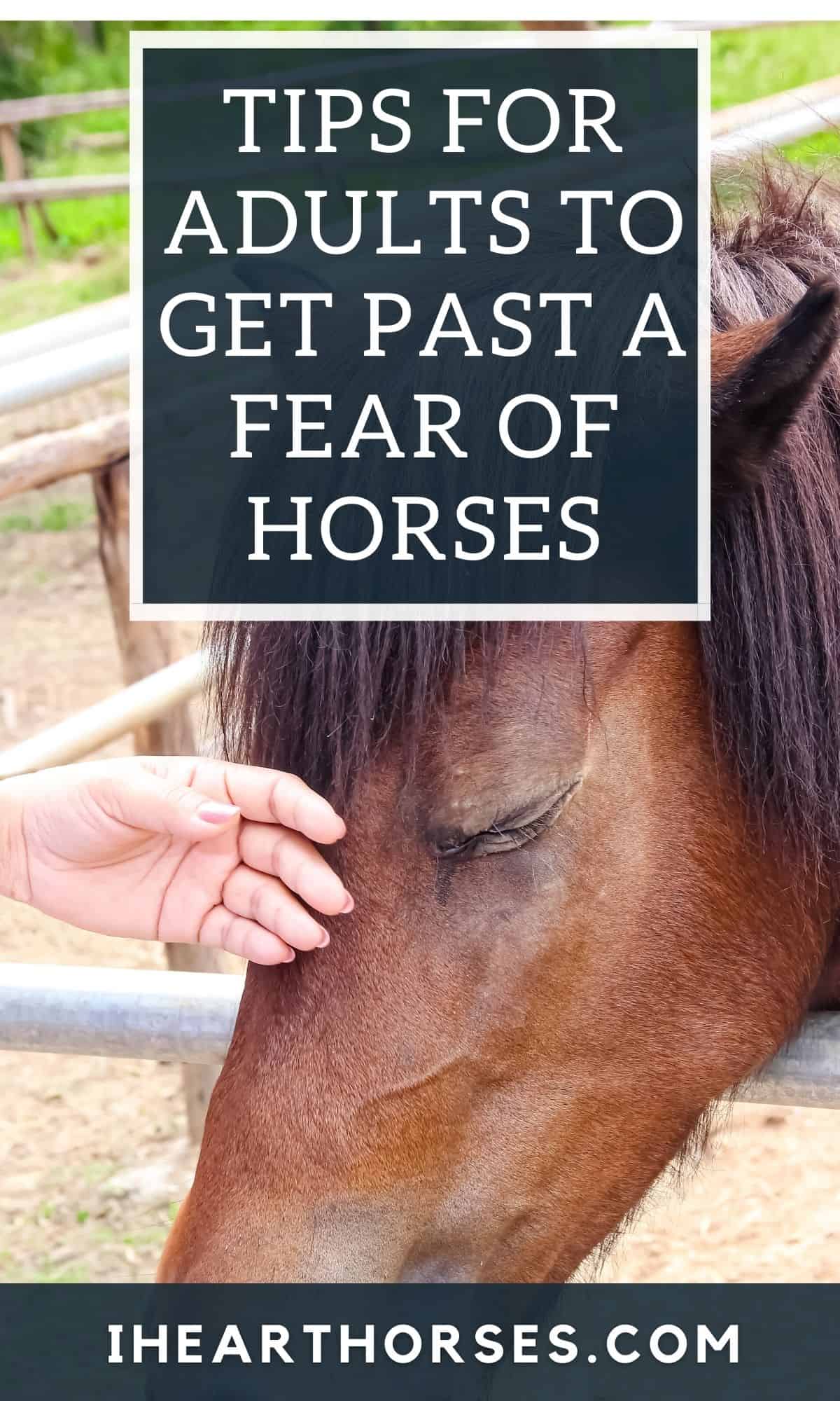 6 Tried and True Tips to Help Adult to Get Past Fear of Horses