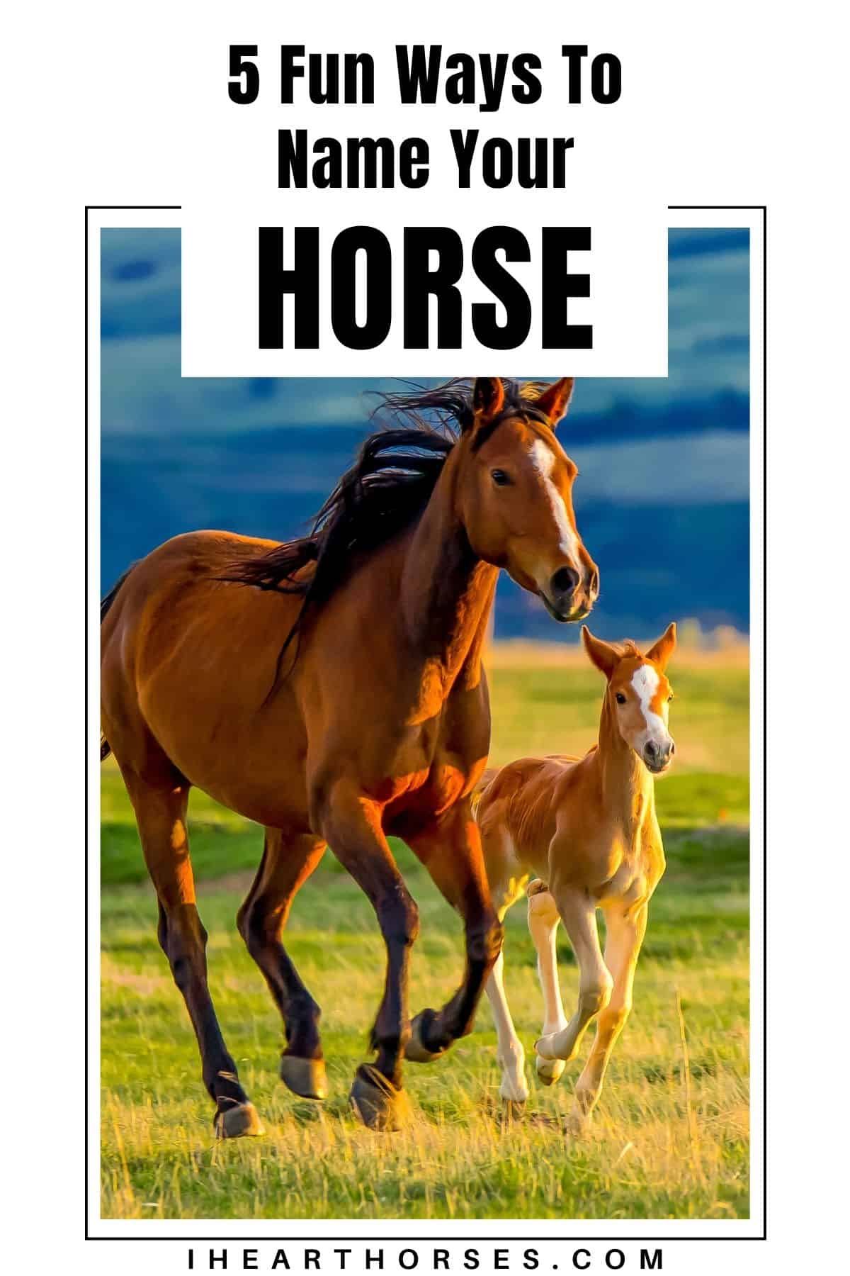 How to name your horse