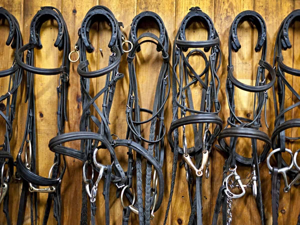 Horse tack near clearance me