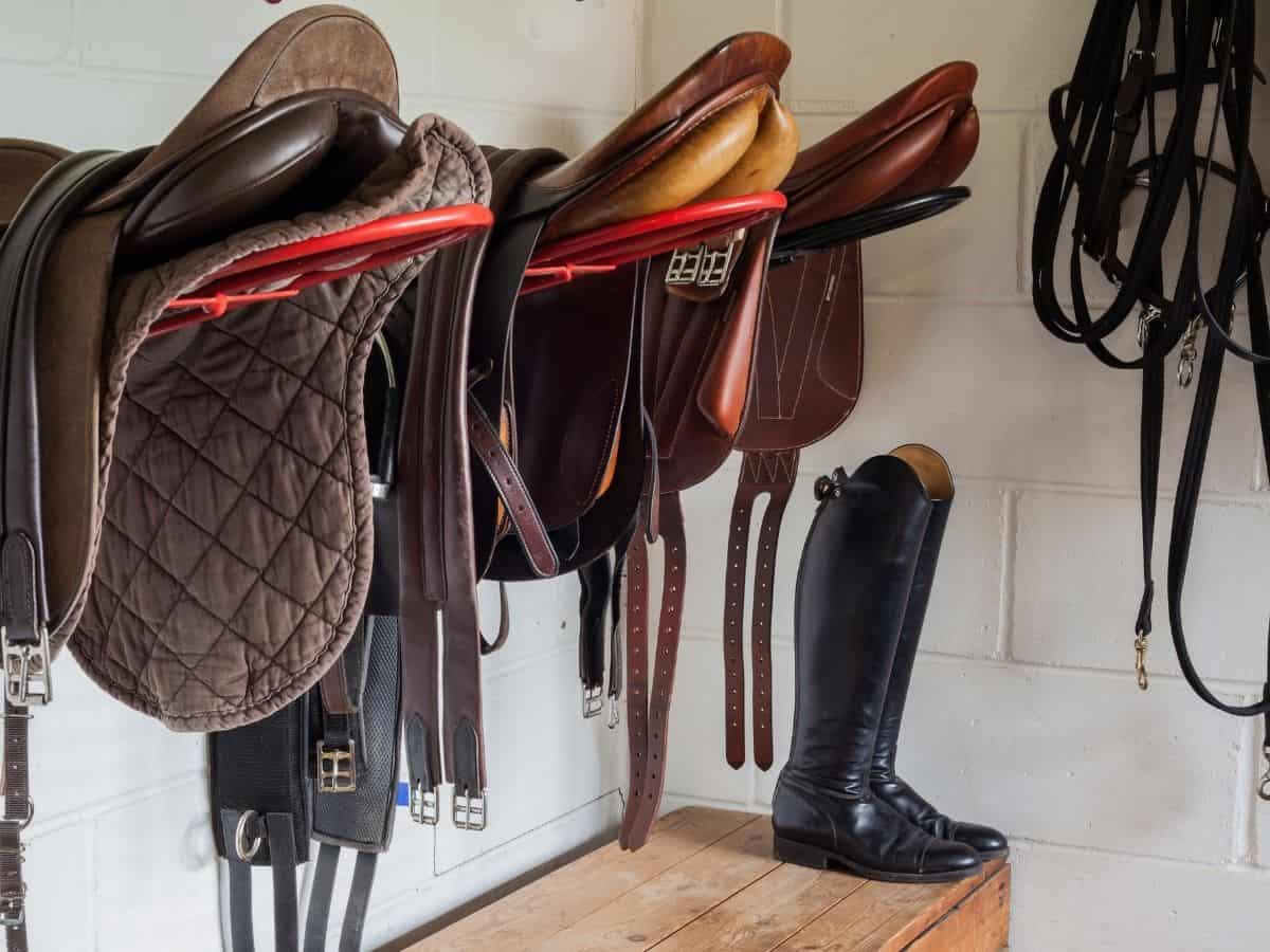 5 Best Places to Buy Barn and Horse Supplies Online