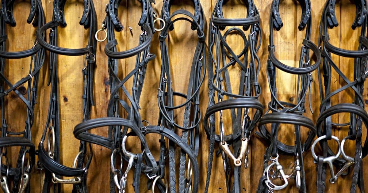 Top 10 Best Horse Equipment Shops near Phelan, CA 92371 - October