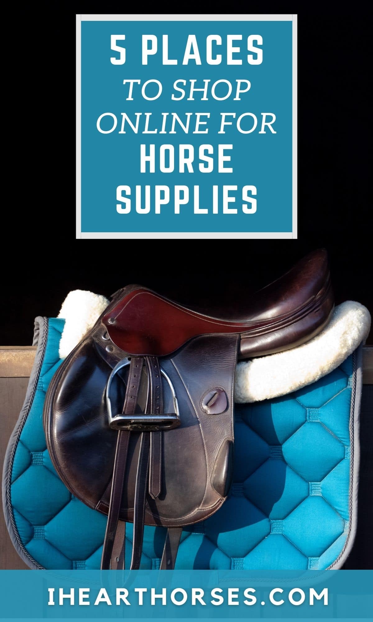 5 Best Places to Buy Barn and Horse Supplies Online