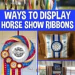 Horse show ribbon collage
