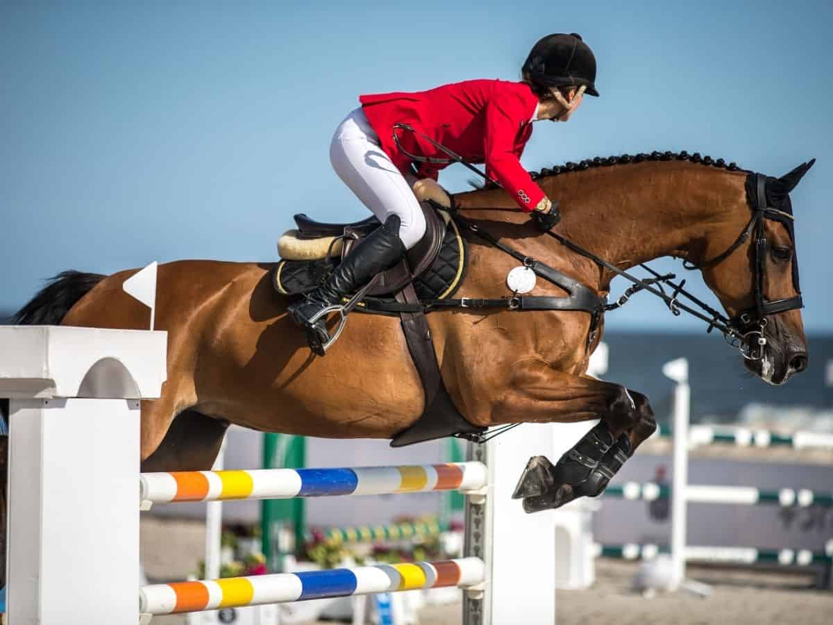 Rider in red and white jumping bars