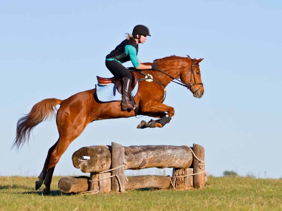 Show jumping with horses - Challenging and fun!