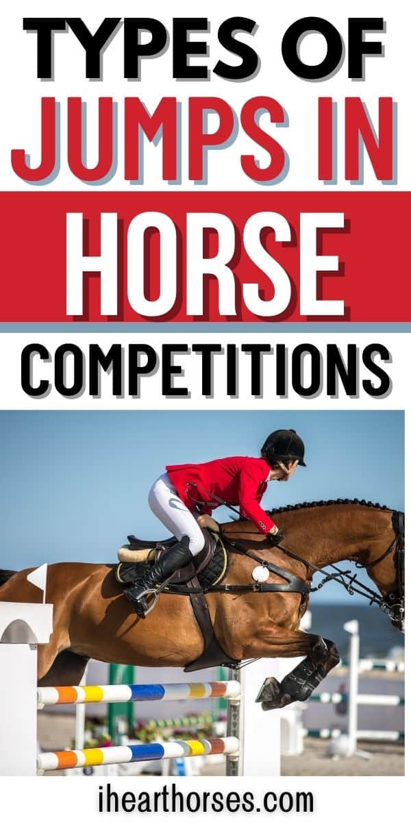 Top 6 Types of Jumps In Horse Sports Competitions