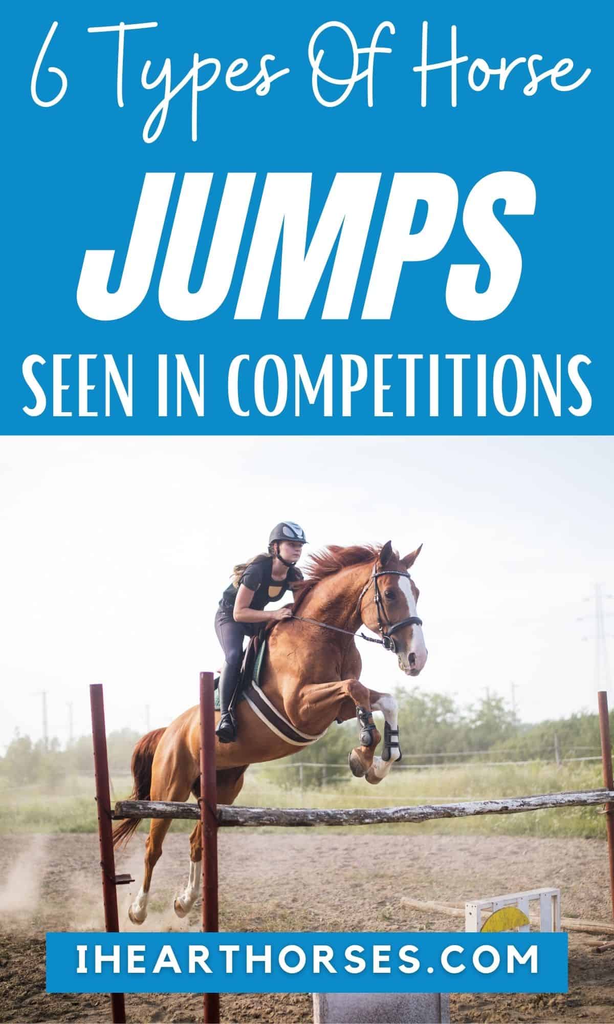 Top 6 Types of Jumps In Horse Sports Competitions