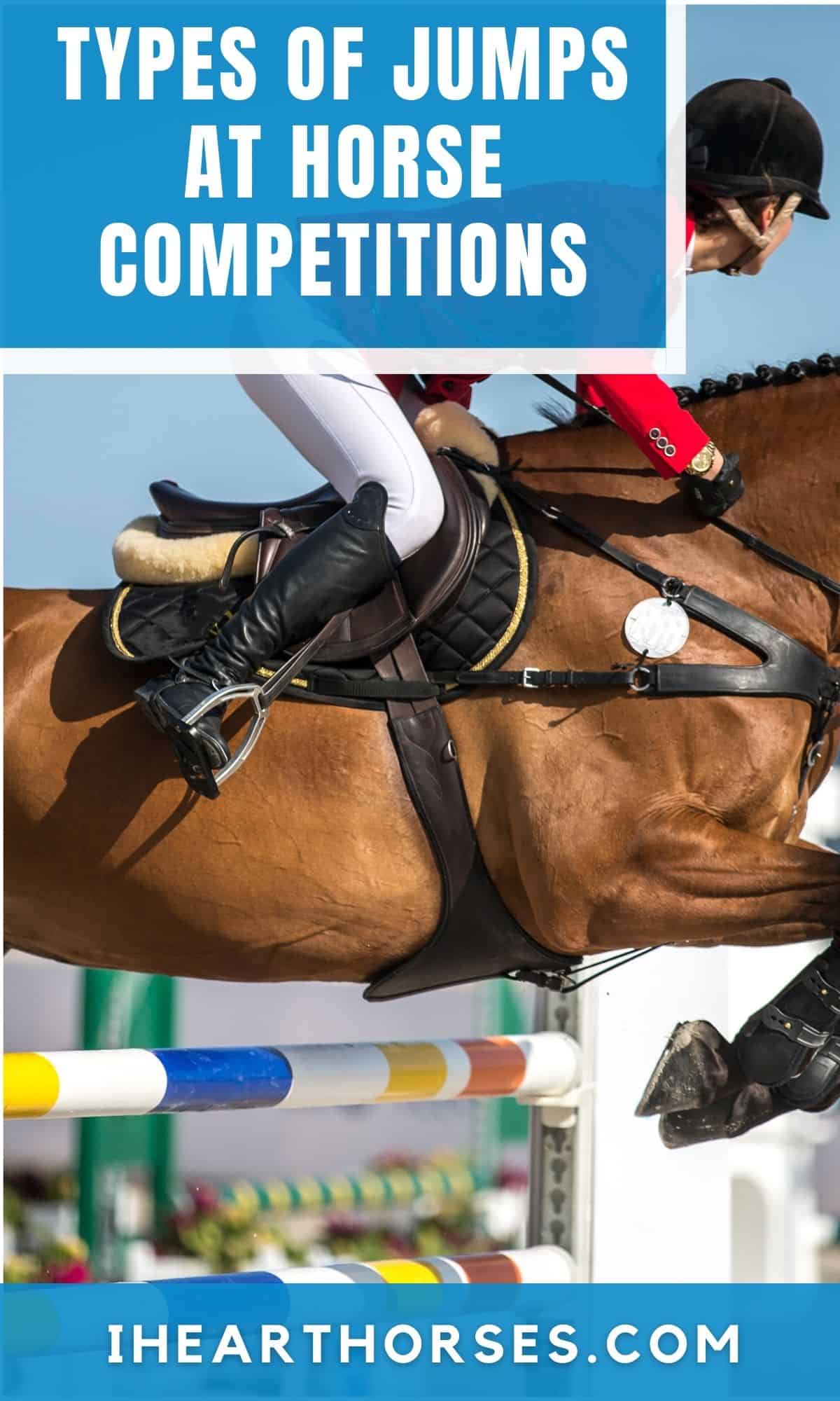Top 6 Types of Jumps In Horse Sports Competitions