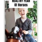 Little boy on fake horse