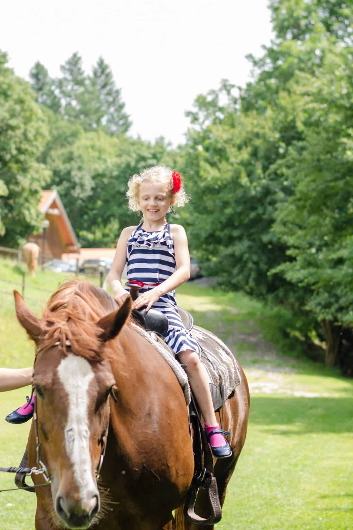 Blonde girl in pigtails on top of brown horse