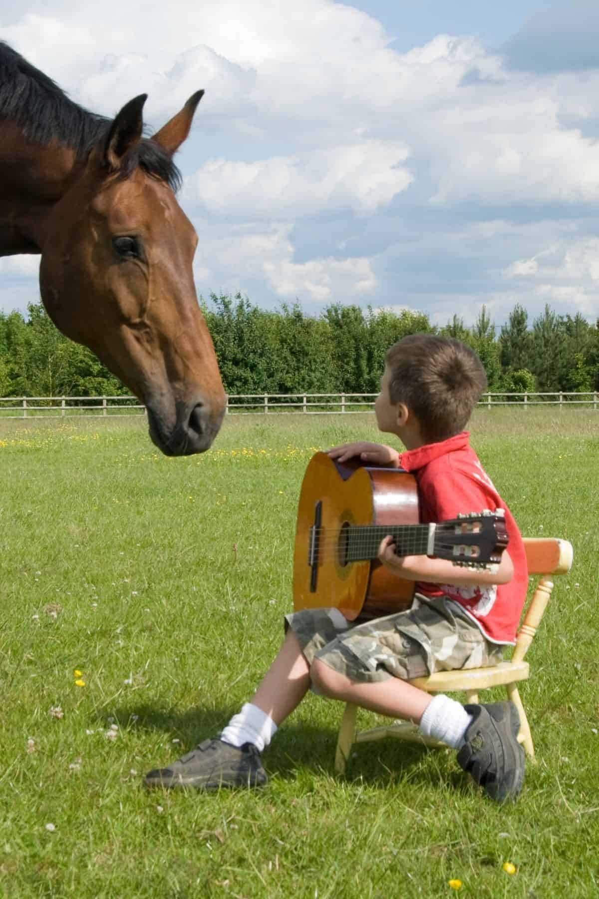 Little boy playing guitar in front of brown horse