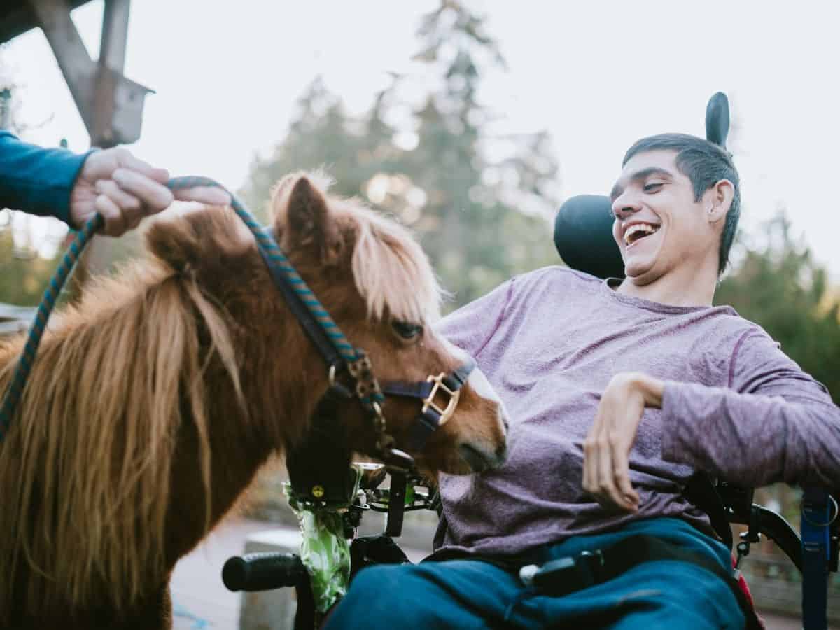 Pony by man in wheelchair