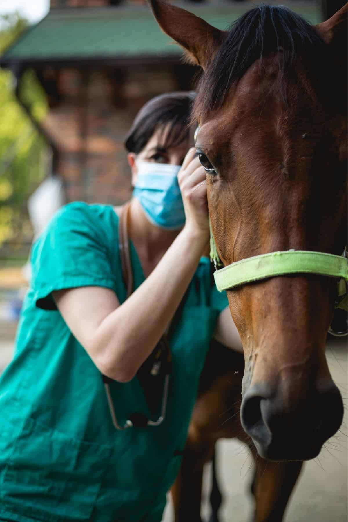 Woman in green scrubs leaning against the horse