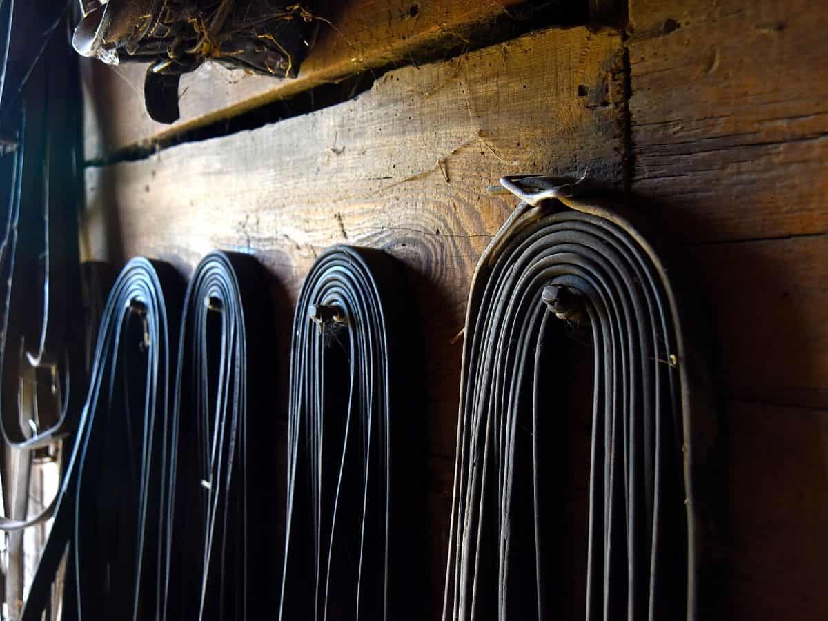 Tack hanging on hooks in barn