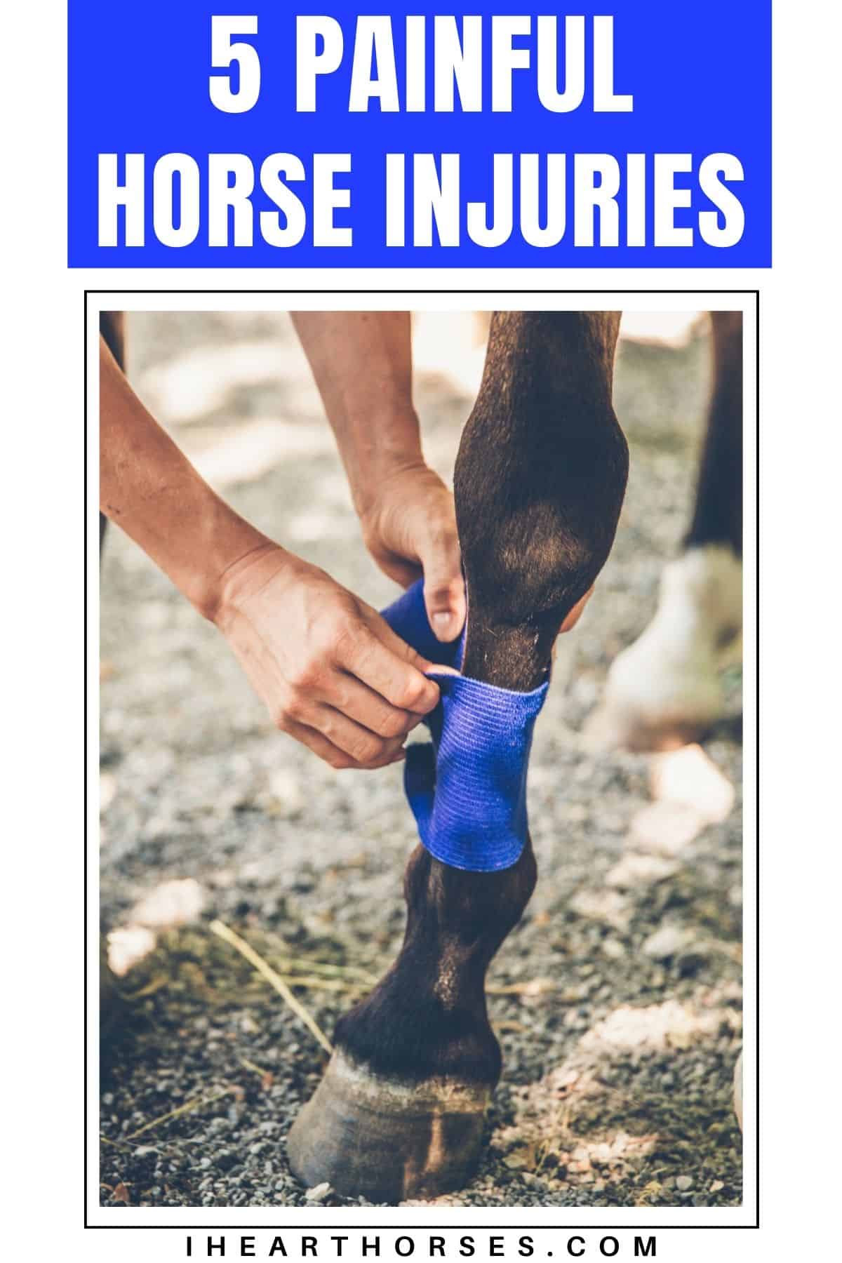 5 Painful Horse Injuries to Watch For and Treat Immediately