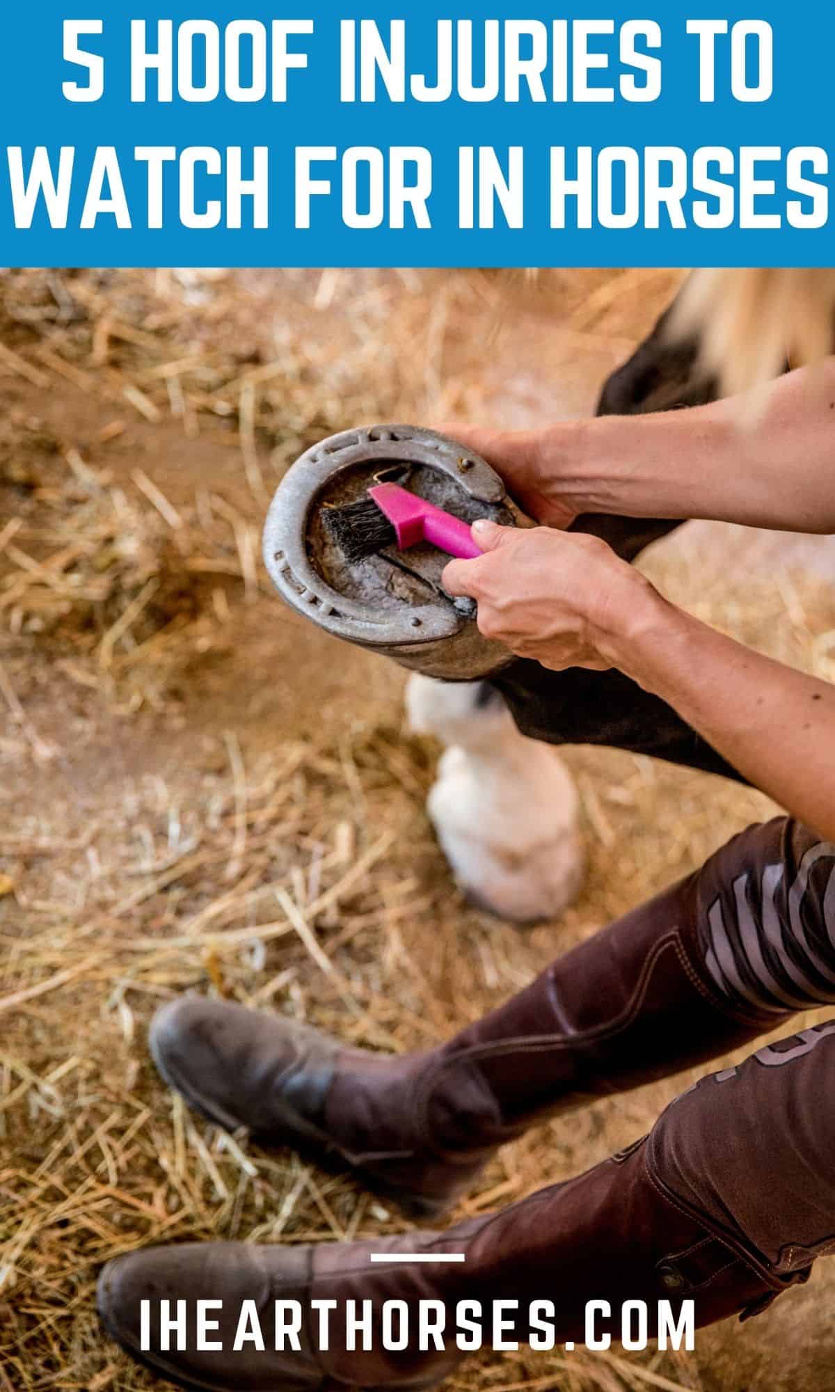 5 Common Hoof Problems to Avoid During the Rainy Season