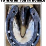 Close up of horse hoof with banner saying 5 hoof problems to watch for in horses