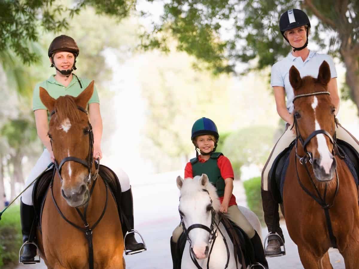 Horse riding lessons. First Horse riding School Fierra. First Horse riding School Ferrara.