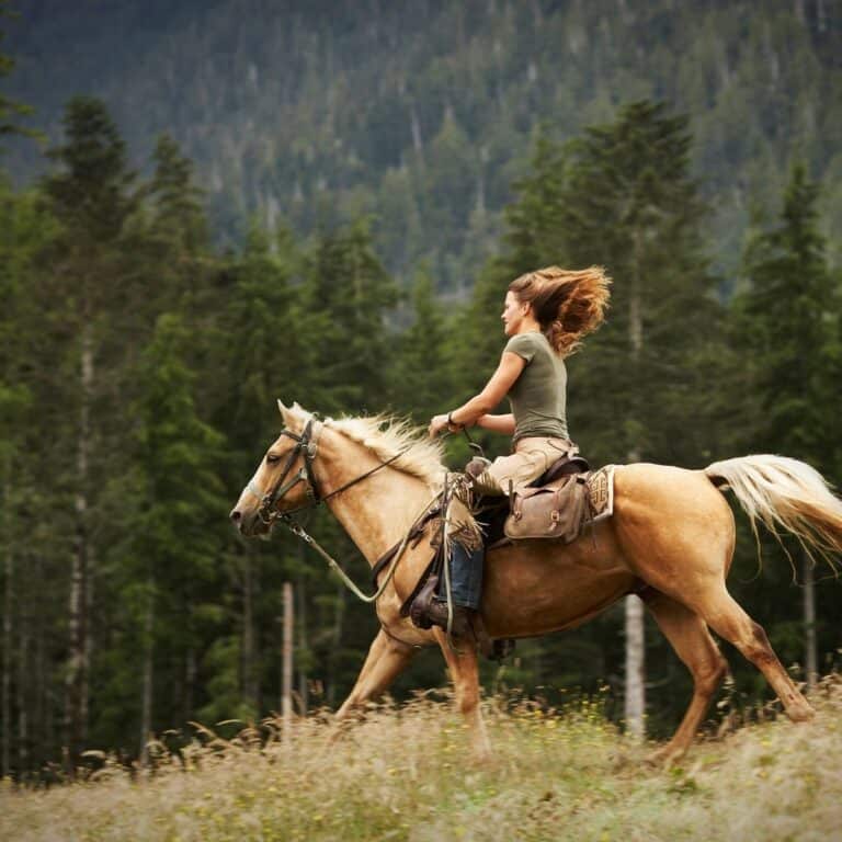 Woman on blonde horse with hair in the wind