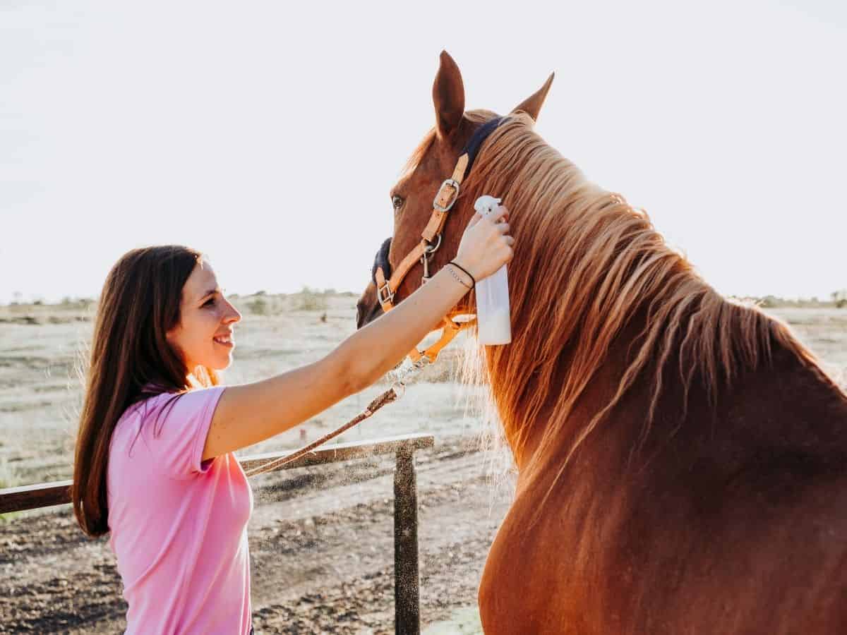 Woman in pink spraying something on brown horse mane