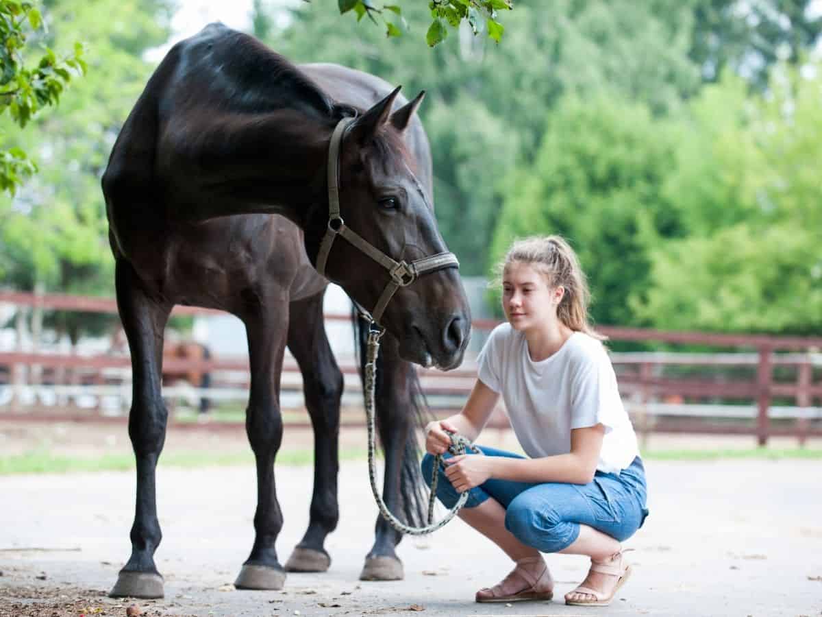 Woman in white shirt and jeans squatting beside black horse