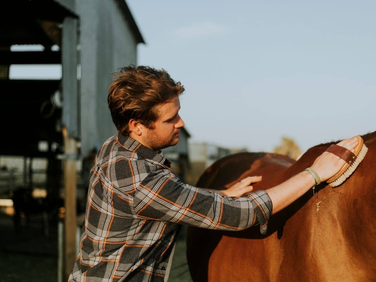 man in plaid grooming a brown horse