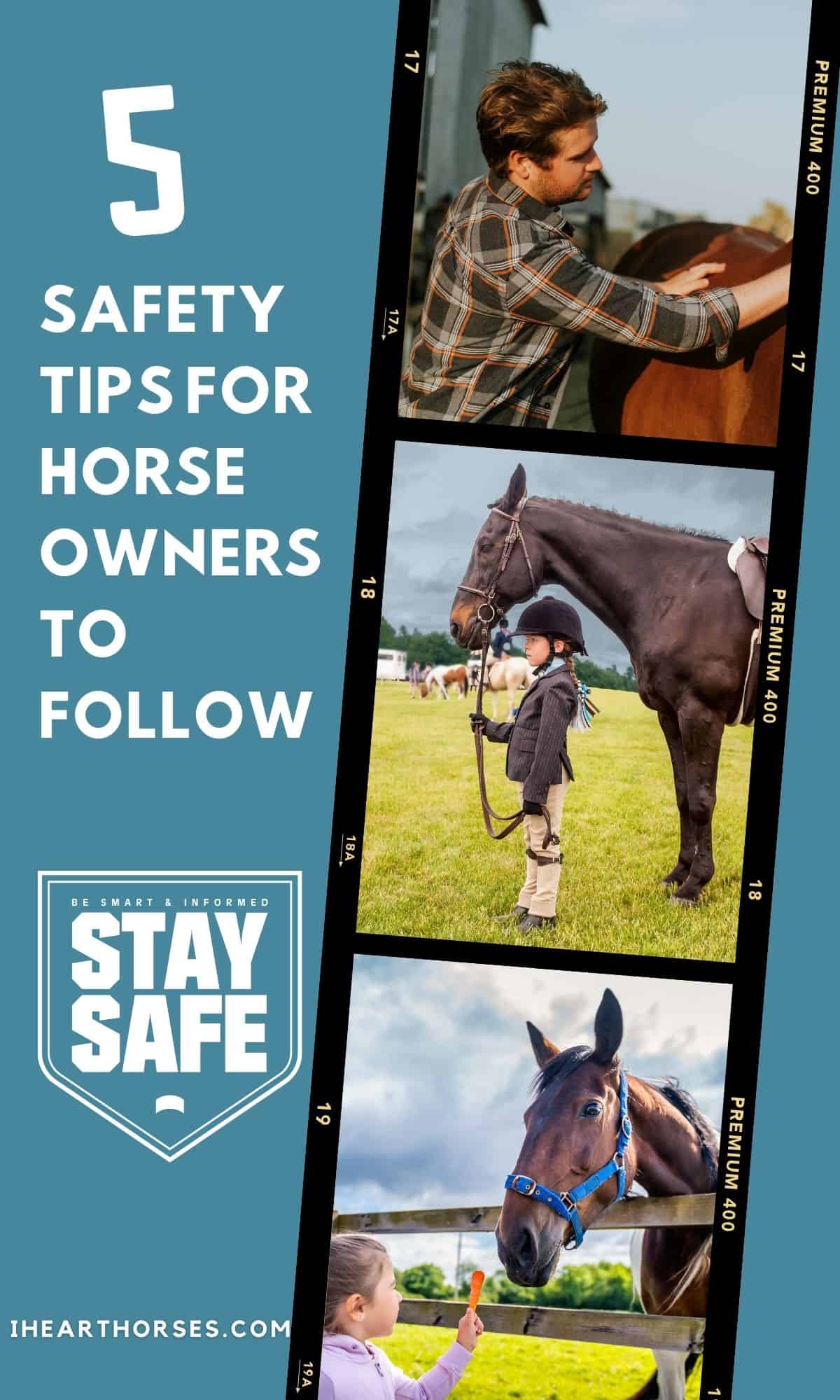 5 Safety Tips For Horse Owners When Working With Your Horse
