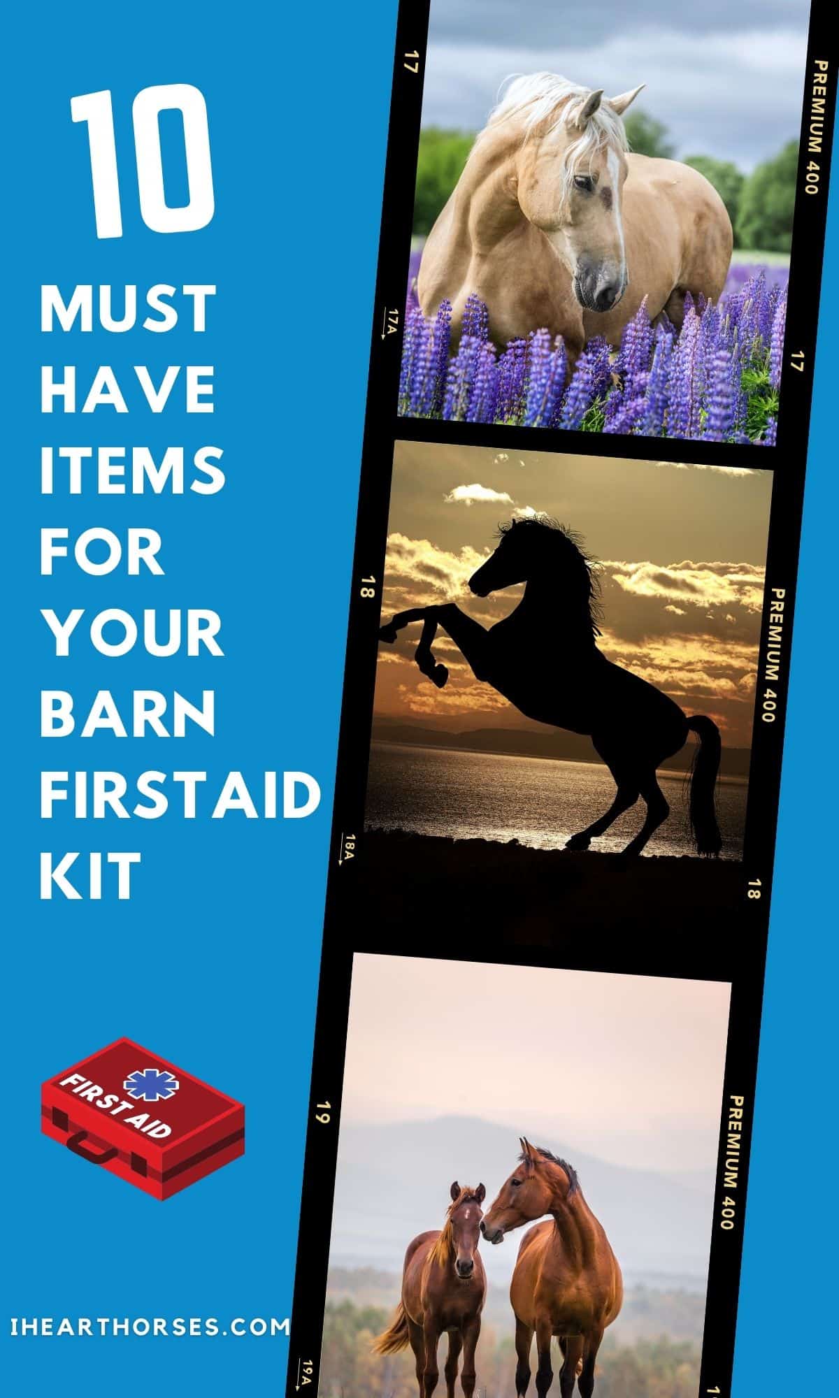 10 Items Every Horse Owner Needs in Their Barn First Aid Kit