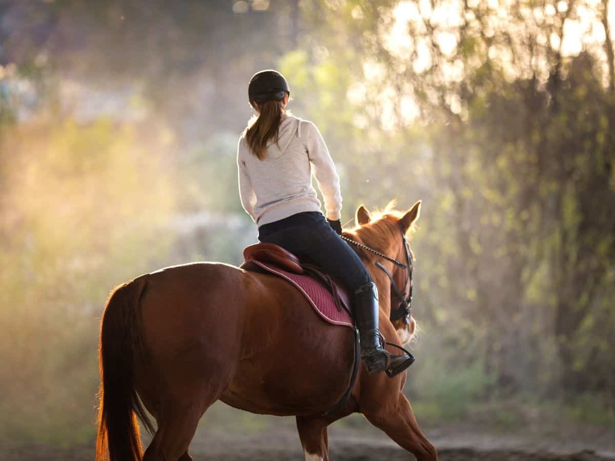 Woman riding brown horse at sunset
