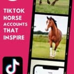pinterest image with collages and overlay sayng 17 tiktok horse accounts that inspire
