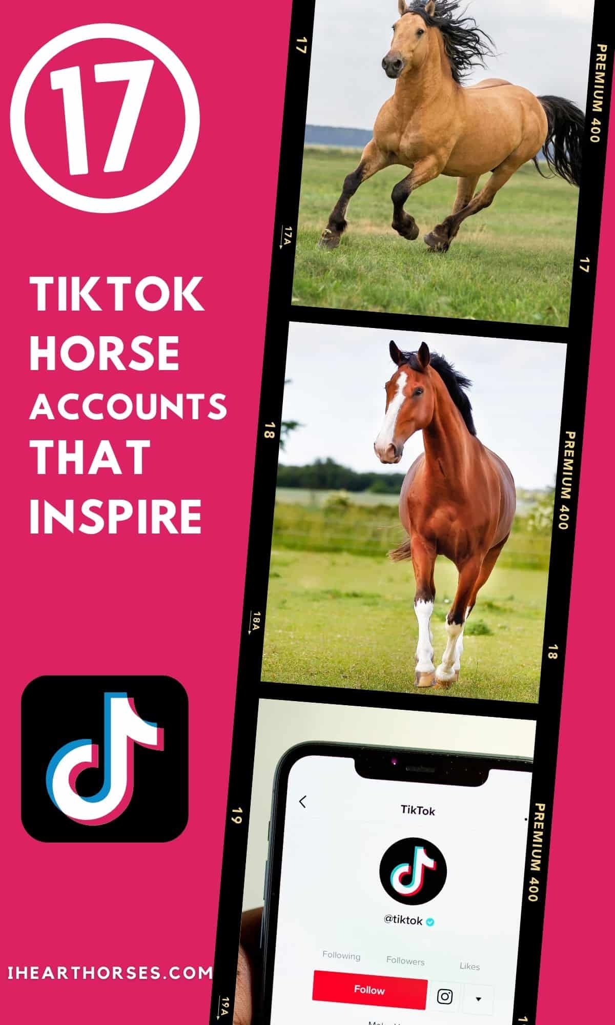 pinterest image with collages and overlay sayng 17 tiktok horse accounts that inspire