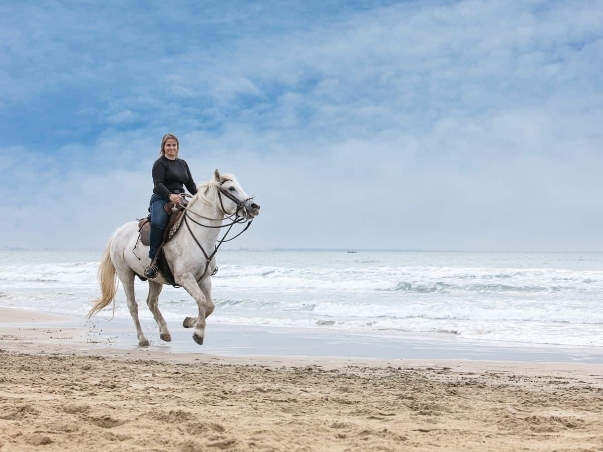 woman on white horse at beach