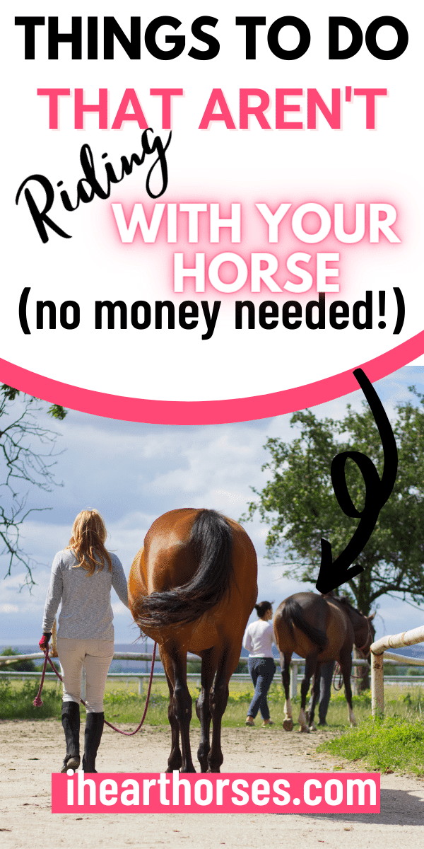 10 Things to Do with Your Horse That Aren't Riding
