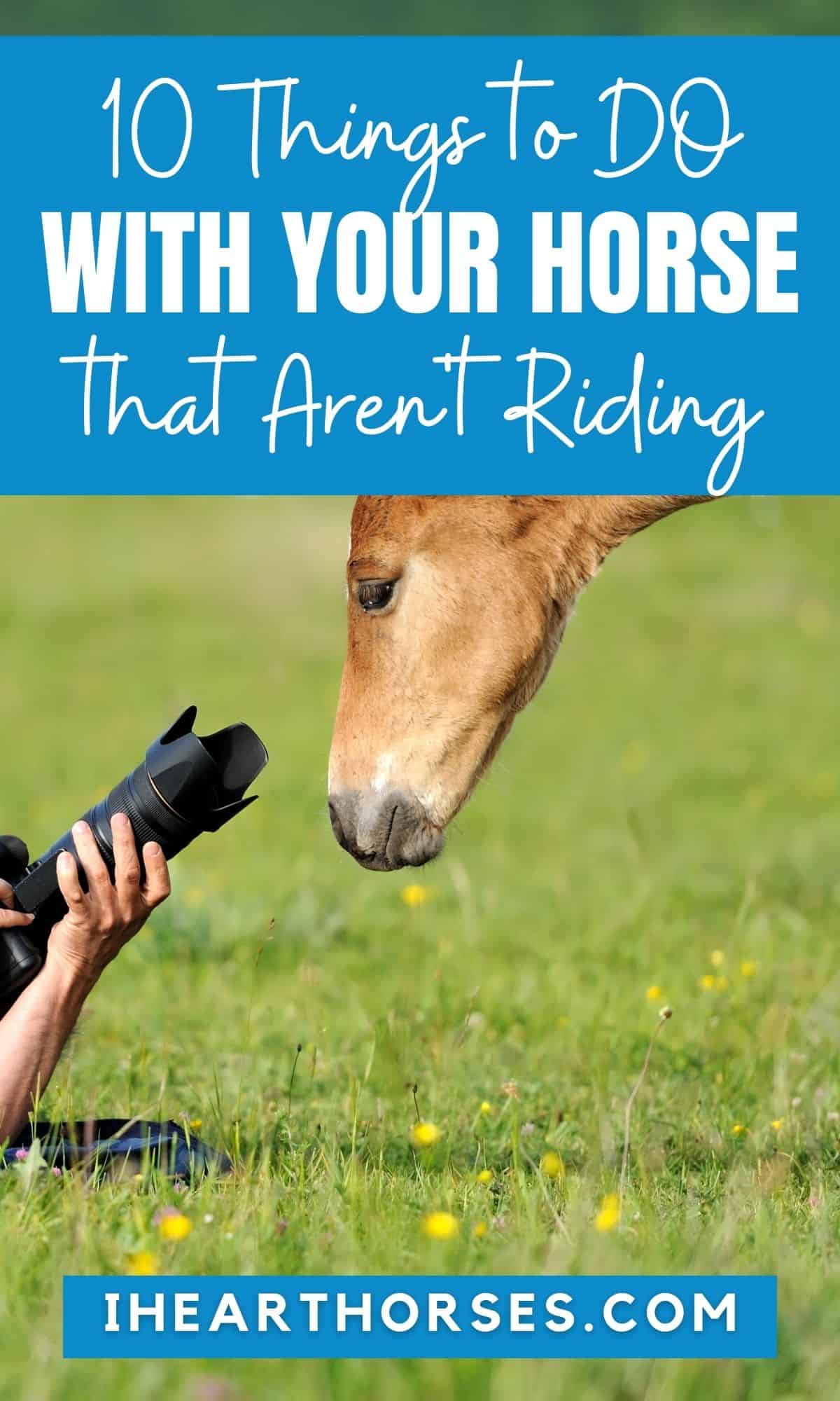 10 Things to Do with Your Horse That Aren't Riding