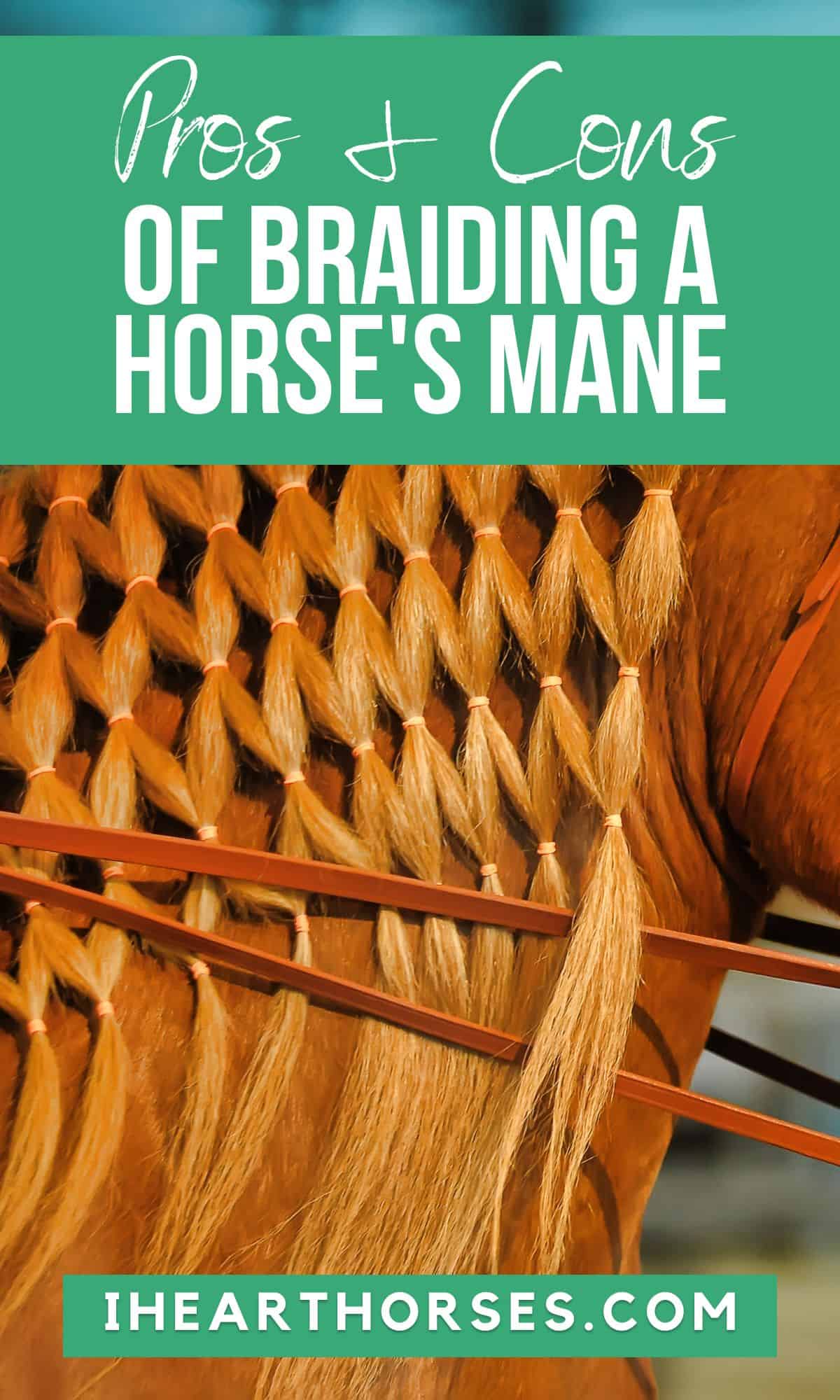 Pros and Cons of Braiding Your Horse's Mane or Tail