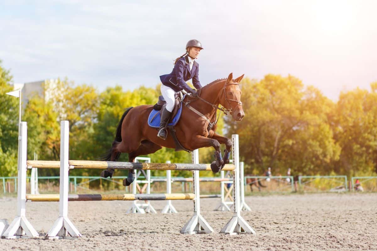 brown horse jumping over white bars