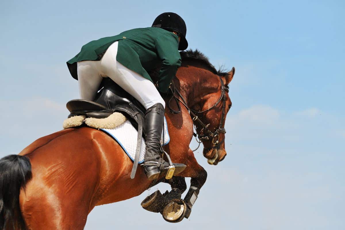 rider in white and green on brown horse jumping