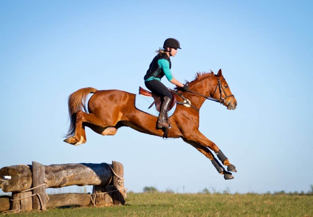 15 Fantastic Pictures of Horse's Jumping to Make You Smile