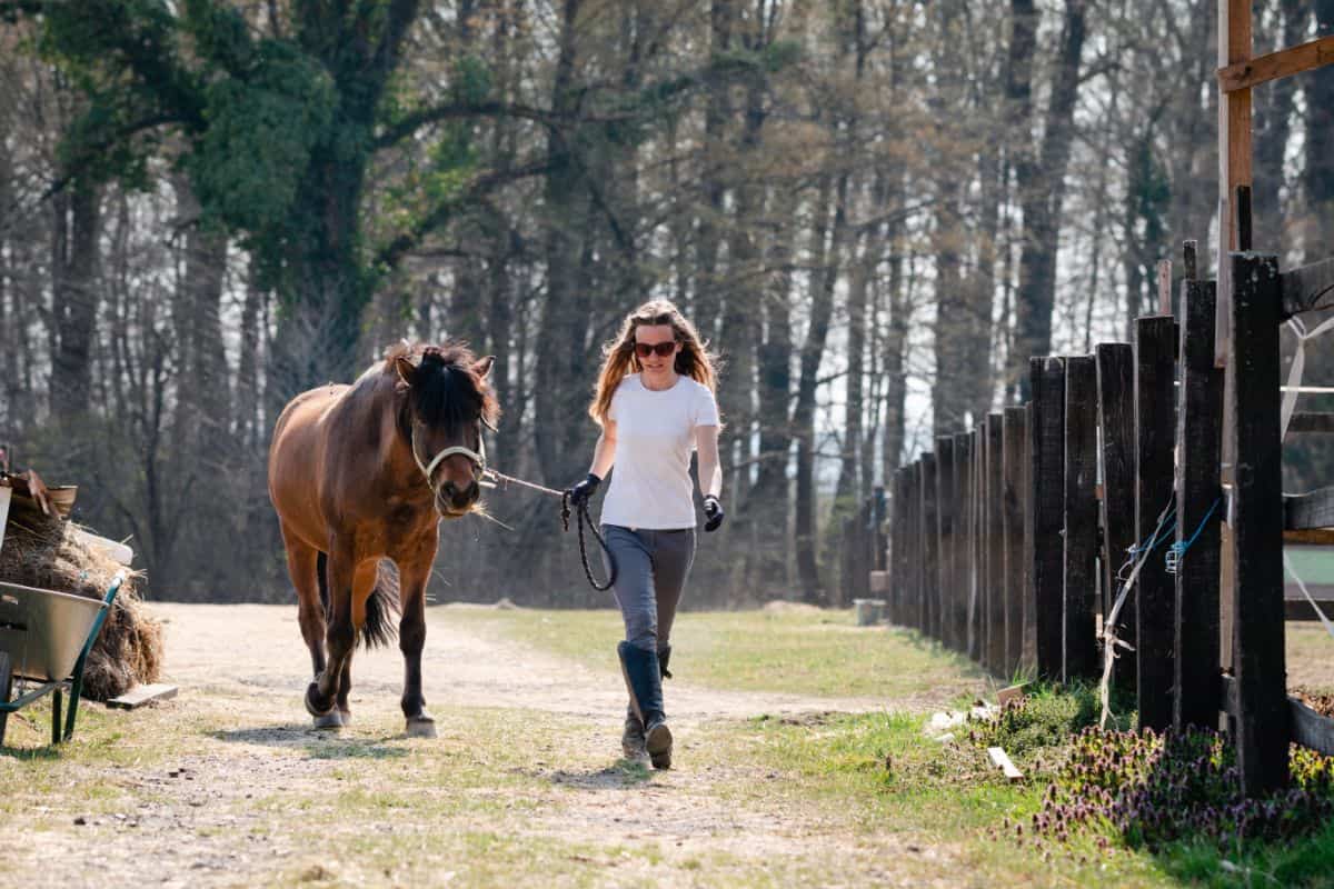 10 Top YouTube Channels for Horse Lovers