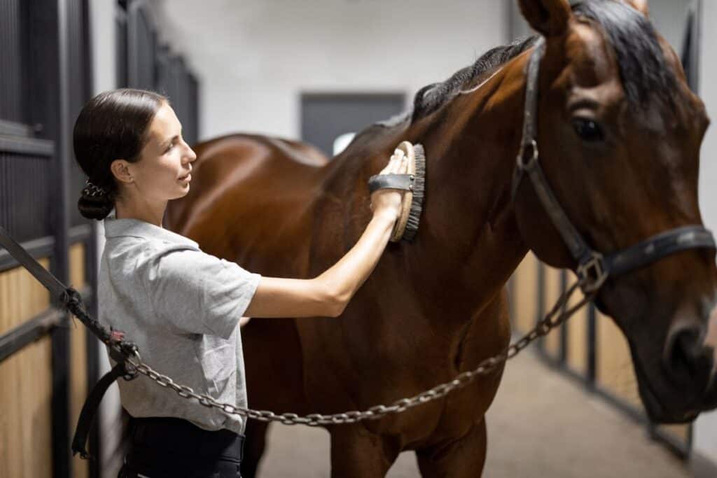 7 Ways to Get Rid Of Dandruff on Your Horse