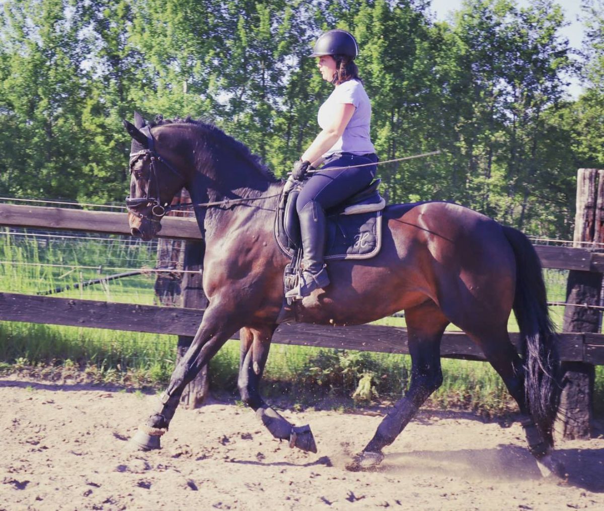 A woman riding a brown Hanoverian horse on a ranch.