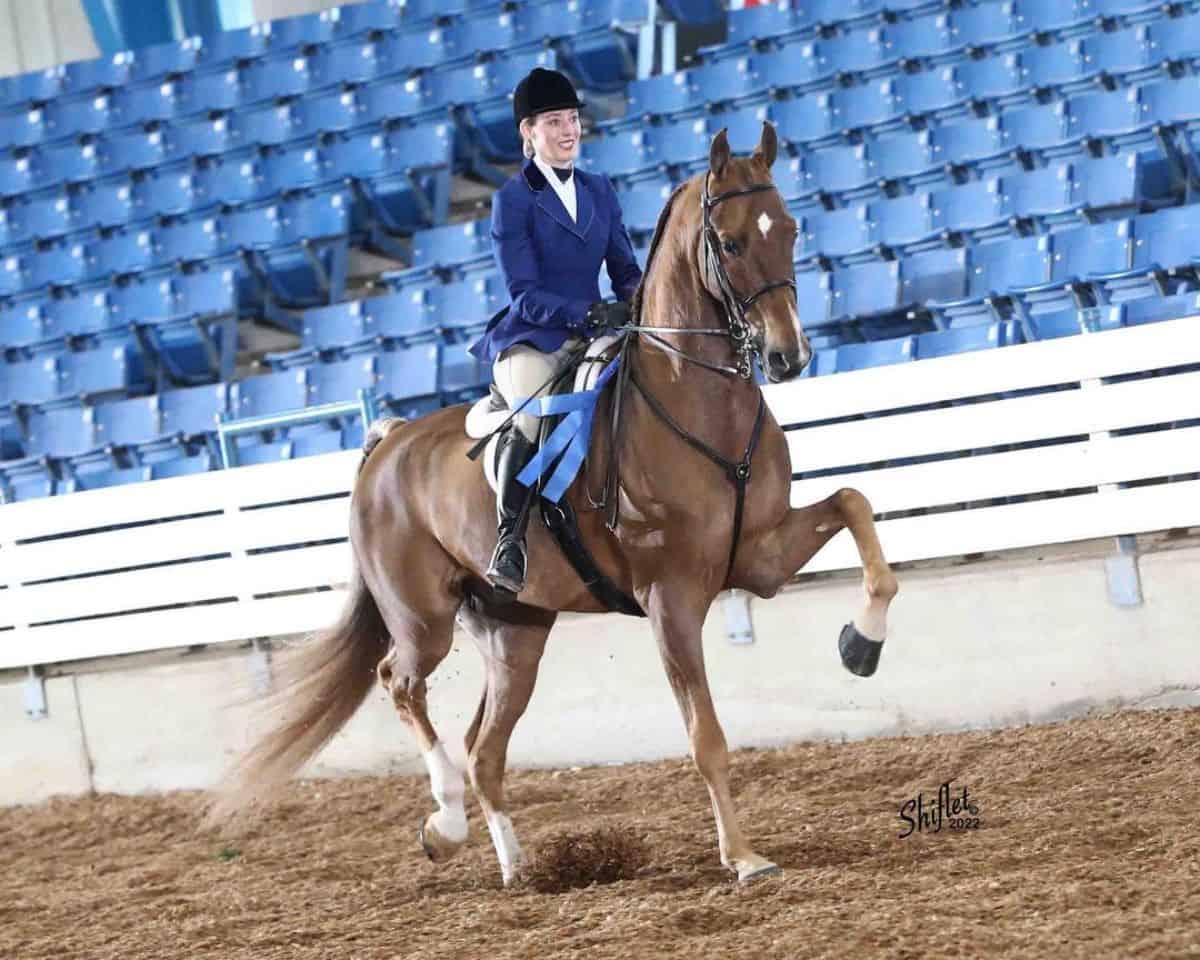 A young woman is riding a brown horse.