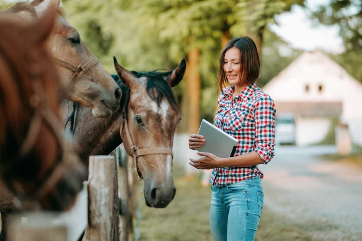 A woman holding a laptop stands near two brown horses.